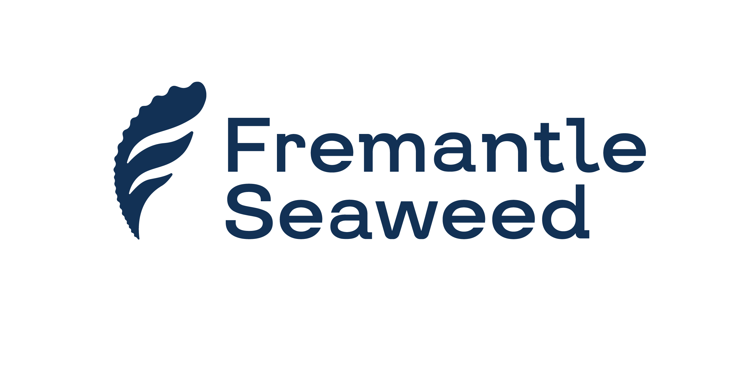 Fremantle Seaweed