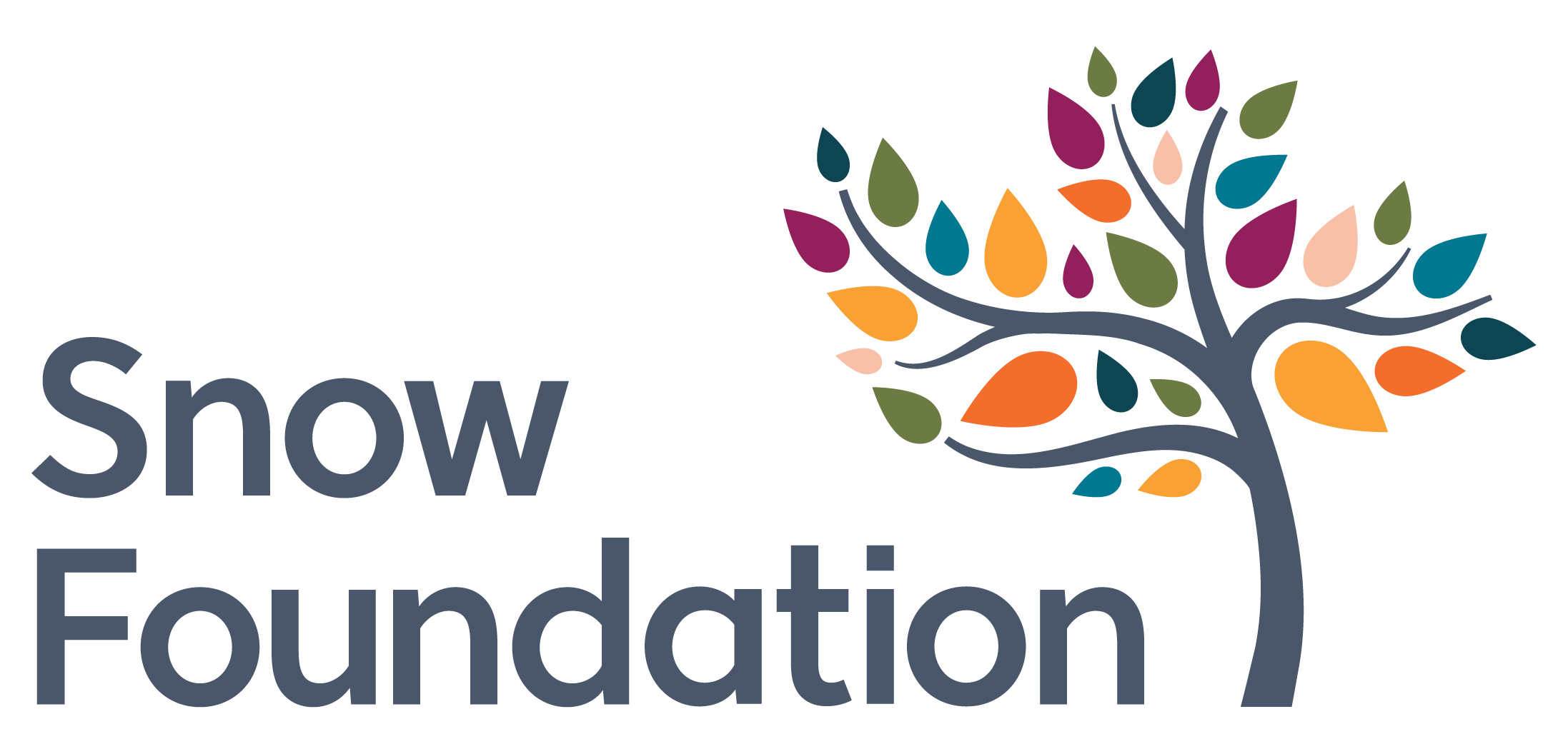 Paul Ramsay Foundation